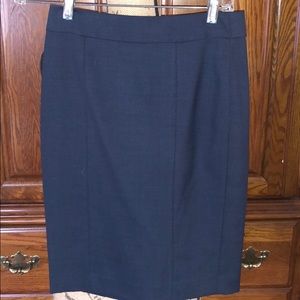 Navy Skirt